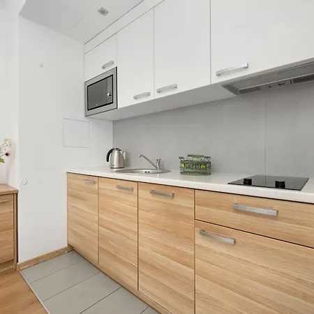 アパート Air Conditioned In Center With Parking By Renters ヴロツワフ