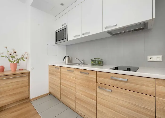 公寓 Air Conditioned In Center With Parking By Renters 弗罗茨瓦夫